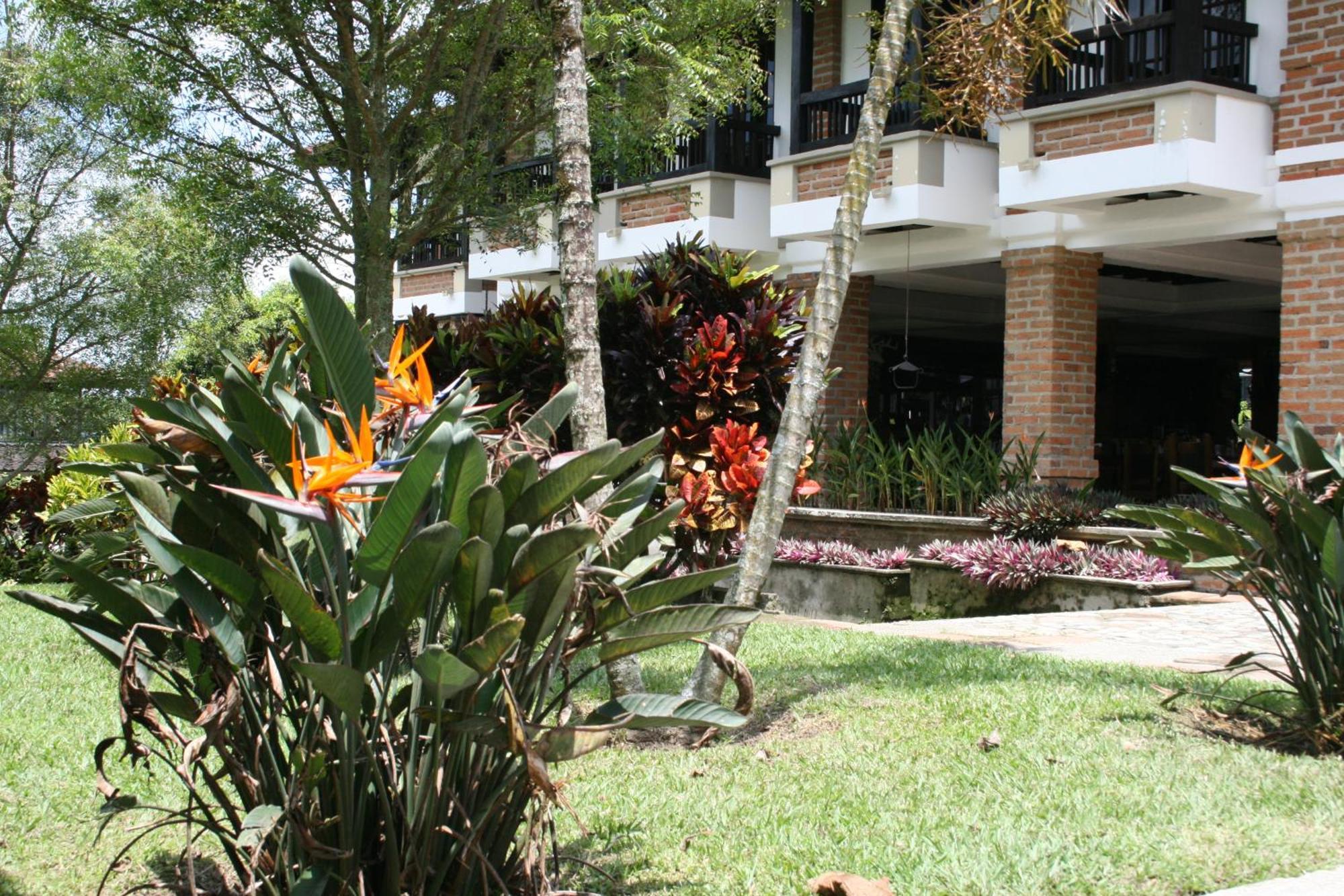 Finca Hotel La Esperanza Montenegro Dış mekan fotoğraf