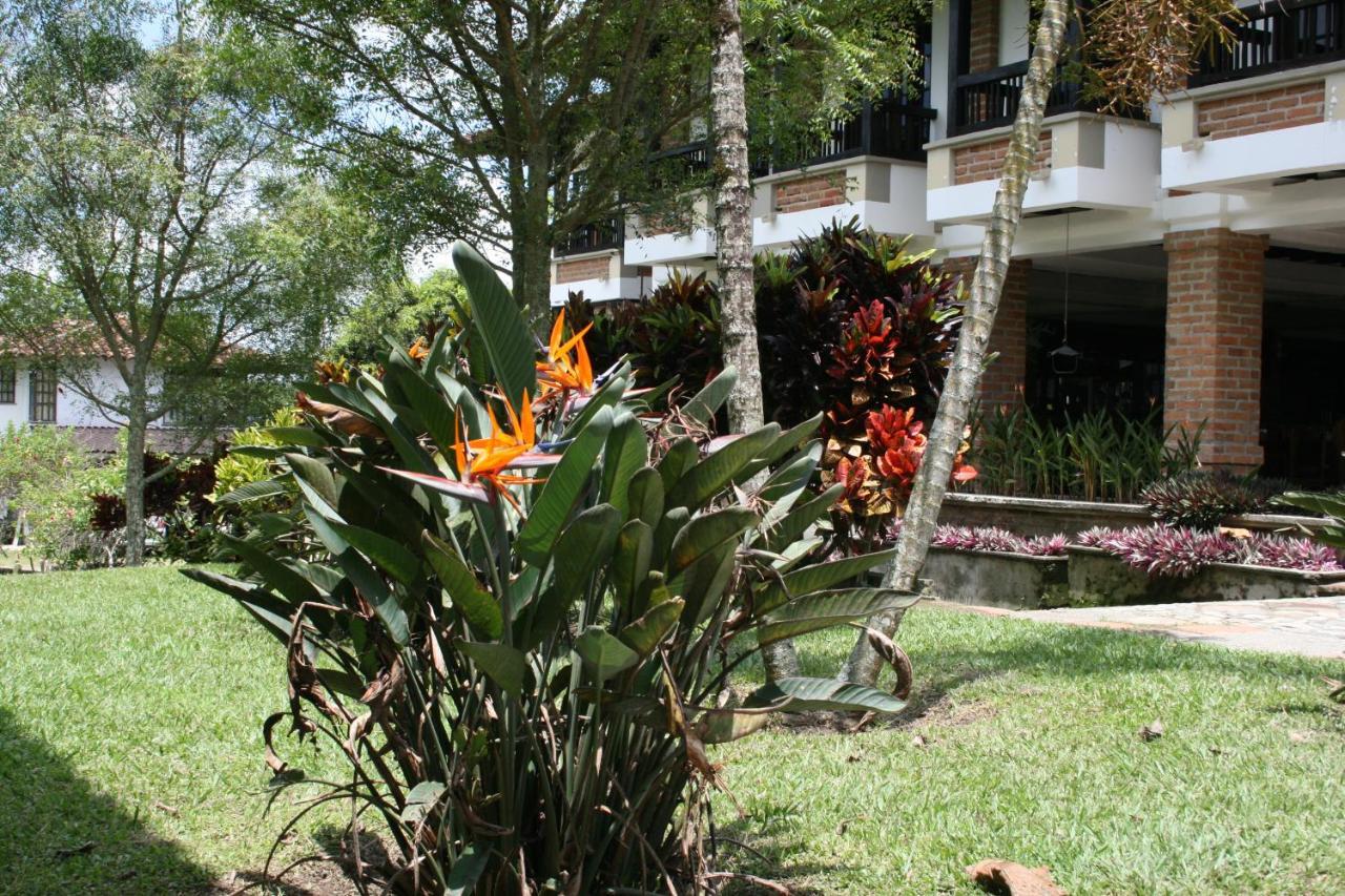 Finca Hotel La Esperanza Montenegro Dış mekan fotoğraf