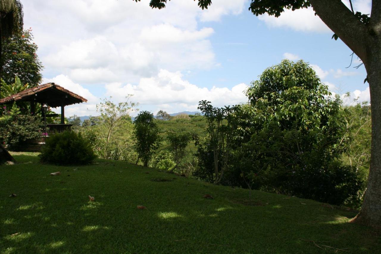 Finca Hotel La Esperanza Montenegro Dış mekan fotoğraf